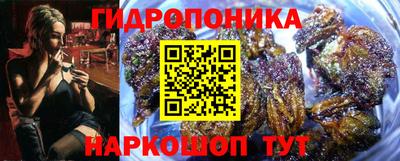 герыч Новозыбков